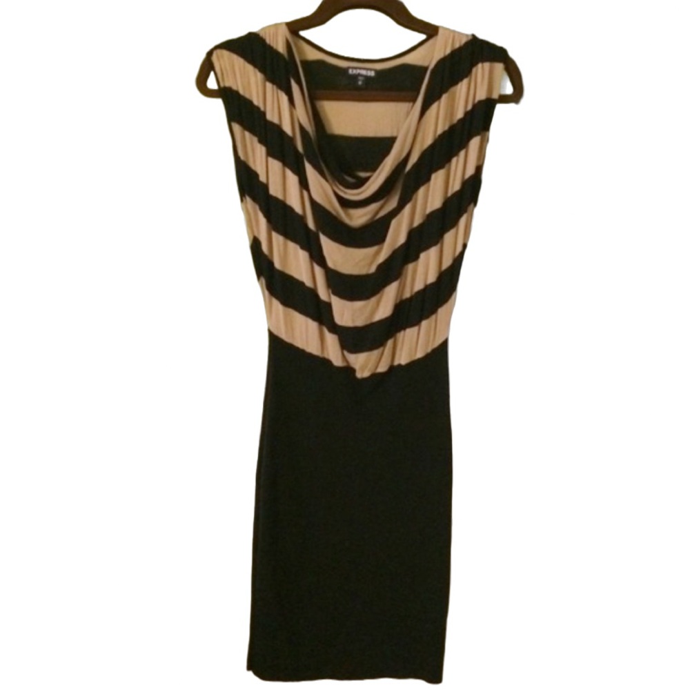 EXPRESS Dress